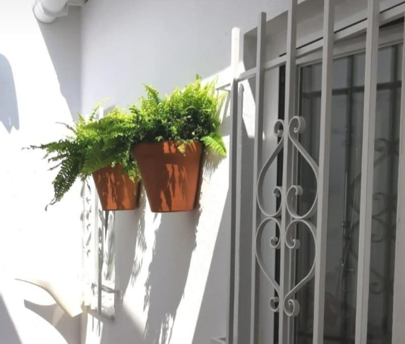 הוילה קאסטילייחה דה לה קווסטה La Marieta, Casita Acogedora Y Centrica מראה חיצוני תמונה
